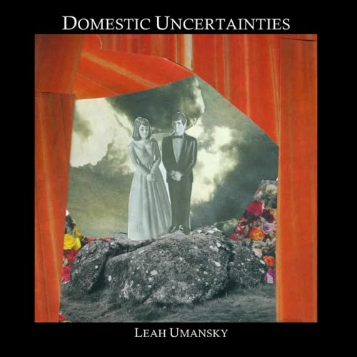 Domestic Uncertainties,Used