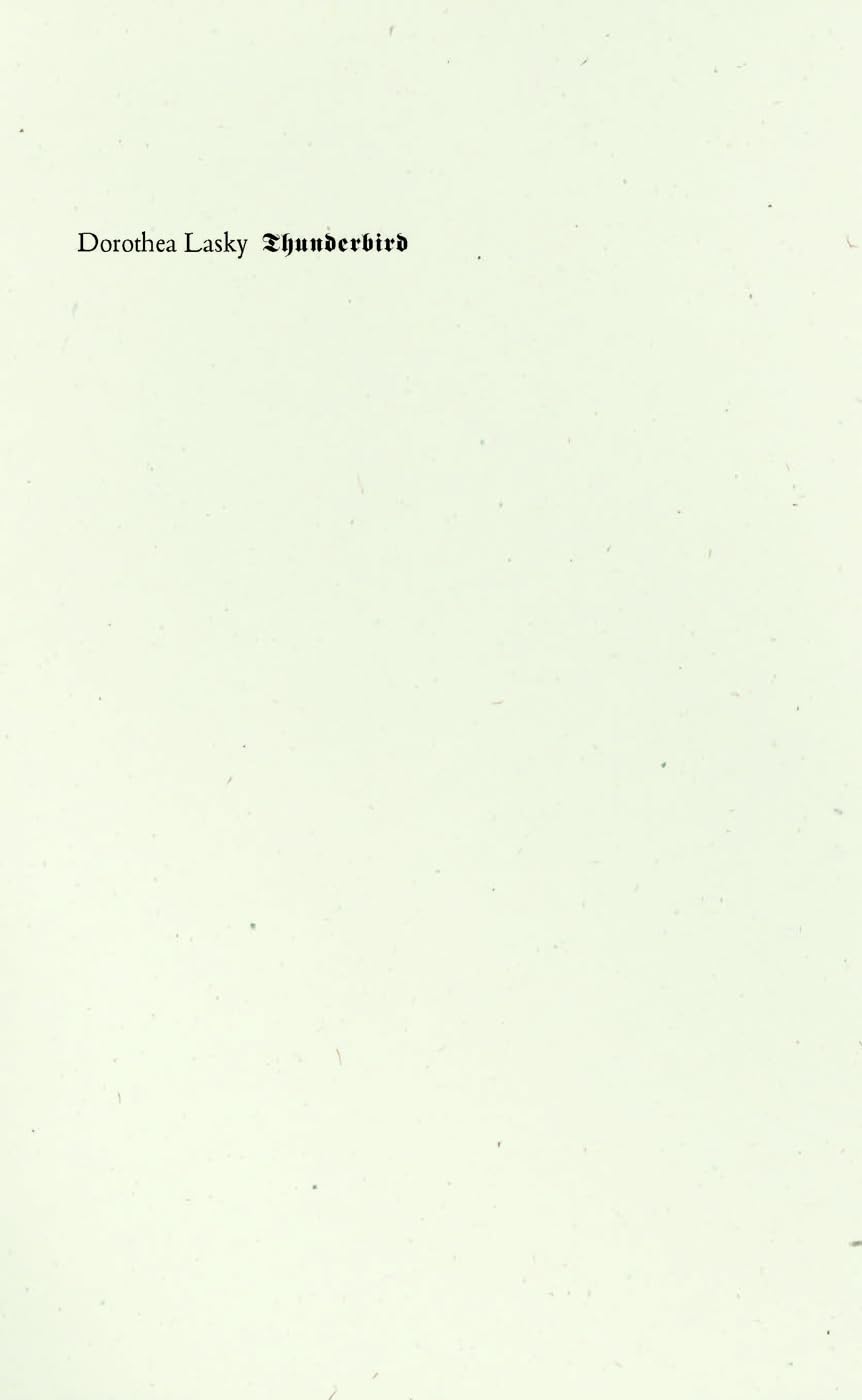 Thunderbird (Wave Books),Used