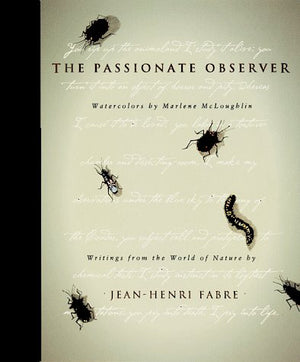 The Passionate Observer,Used