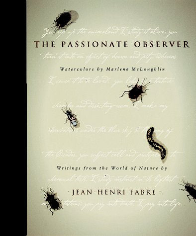 The Passionate Observer,Used