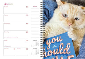 Cats & Books 12Month 2025 Planner Calendar,Used