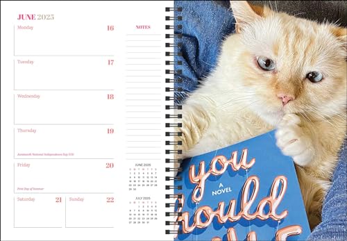 Cats & Books 12Month 2025 Planner Calendar,Used