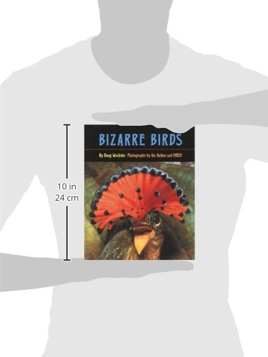 Bizarre Birds,Used