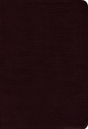 Amplified Bible