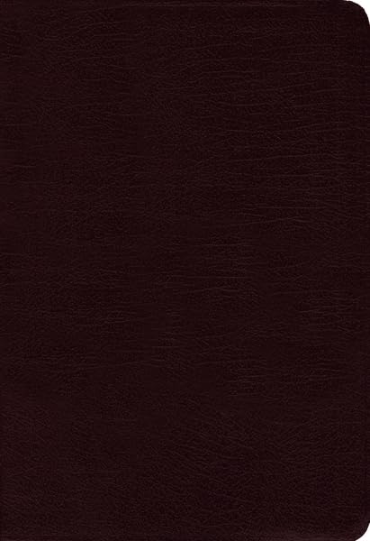 Amplified Bible