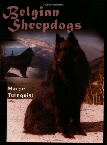 Belgian Sheepdogs,Used