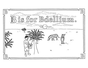 P Is for Pterodactyl Coloring Book: The Worst Coloring Book Ever,Used