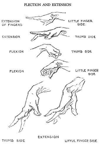 The Human Machine (Dover Anatomy for Artists),Used