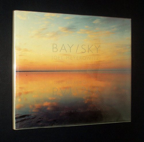 Bay/Sky-used