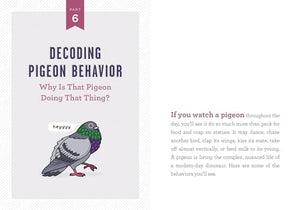 A Pocket Guide to Pigeon Watching: Getting to Know the World's Most Misunderstood Bird,Used