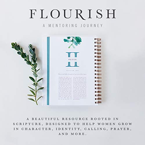 Flourish: A Mentoring Journey  Year One,Used