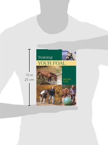 Training Your Foal,Used