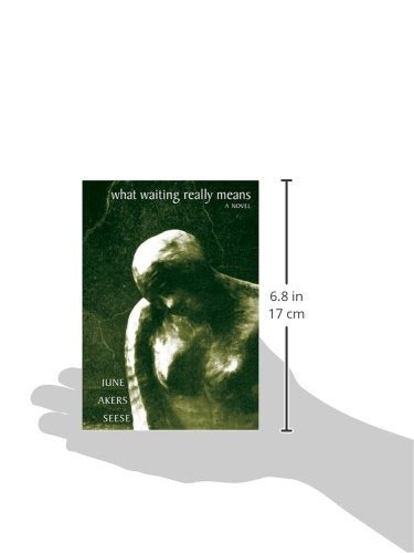 What Waiting Really Means (American Literature),Used