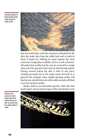 Garter Snakes and Water Snakes: From the Experts at Advanced Vivarium Systems (CompanionHouse Books) Beginner's Guide to Keeping,Used