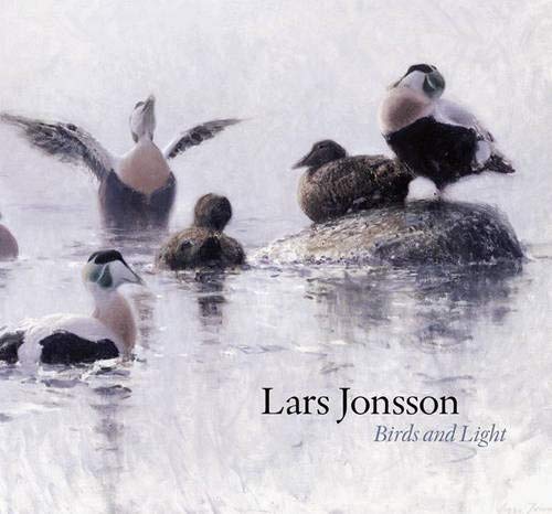Birds and Light,Used