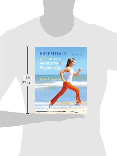Essentials Of Human Anatomy & Physiology (11Th Edition)