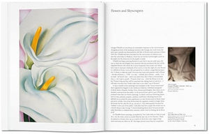 Georgia O'Keeffe: Flowers in the Desert,Used