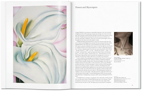 Georgia O'Keeffe: Flowers in the Desert,Used