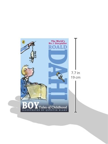 Boy: Tales Of Childhood