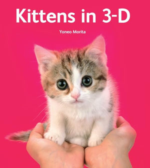 Kittens In 3D