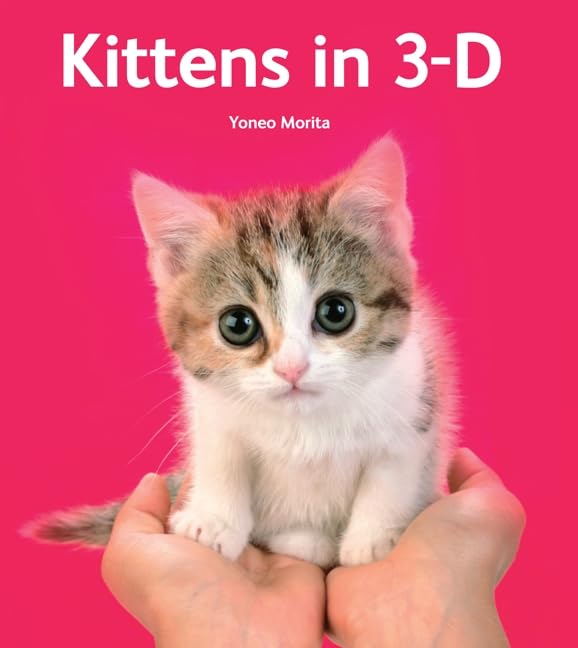 Kittens In 3D