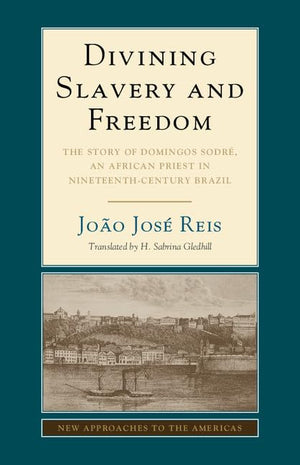 Divining Slavery and Freedom: The Story of Domingos Sodr, an African Priest in NineteenthCentury Brazil (New Approaches to th,Used