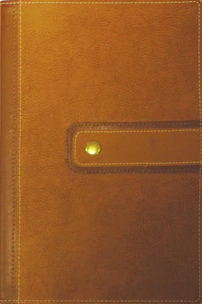 Archaeological Study Bible: An Illustrated Walk Through Biblical History and Culture, Limited Edition,Used