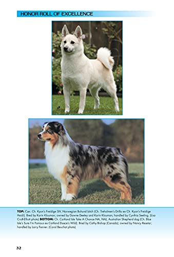 Solving the Mysteries of Breed Type, Second Edition (CompanionHouse Books) Essential Qualities and Finer Points of Purebred Dogs,Used