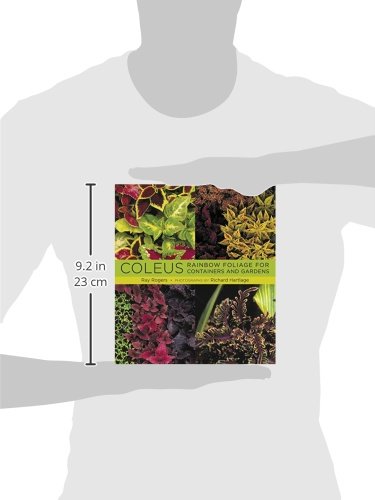 Coleus: Rainbow Foliage For Containers And Gardens