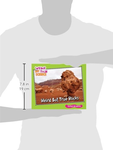 Weird But True Rocks (Weird But True Science),Used