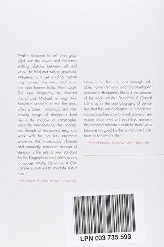 Walter Benjamin: A Critical Life,Used