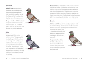 A Pocket Guide to Pigeon Watching: Getting to Know the World's Most Misunderstood Bird,Used