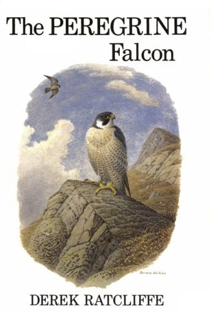 The Peregrine Falcon, First Edition