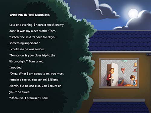 A Family Secret: A Timmi Tobbson Junior (68) Children'S Detective Adventure Book (Solvethemyourself Mysteries Book For Boys A