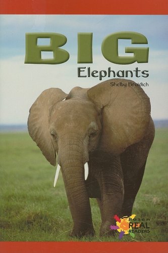 Big Elephants (Real Readers)