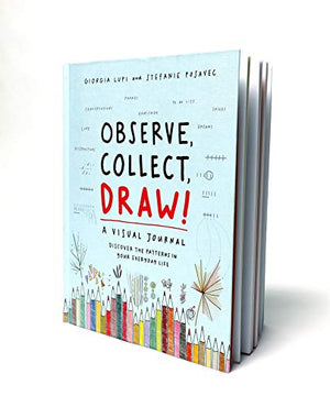 Observe Collect Draw!: A Visual Journal,Used
