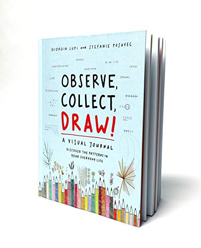 Observe Collect Draw!: A Visual Journal,Used