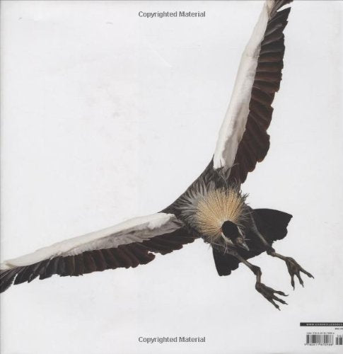 Bird,Used