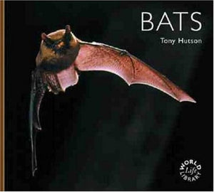 Bats (Wll)