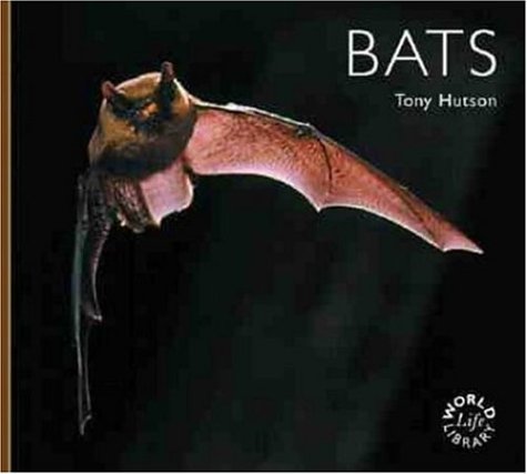 Bats (Wll)
