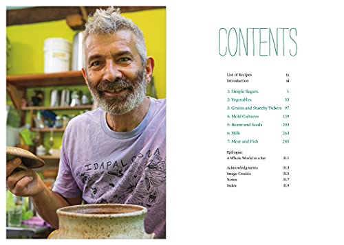 Sandor Katz? Fermentation Journeys: Recipes, Techniques, and Traditions from around the World,Used