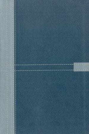 NIV Student Bible, Duo Tone Silver / Slate Blue,Used
