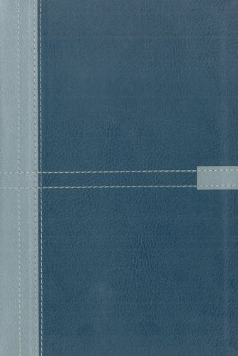 NIV Student Bible, Duo Tone Silver / Slate Blue,Used