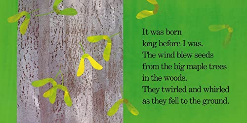 Red Leaf, Yellow Leaf-new