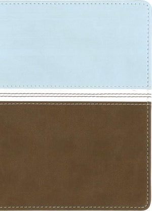 NVI Santa Biblia ultrafina compacta (Spanish Edition),Used