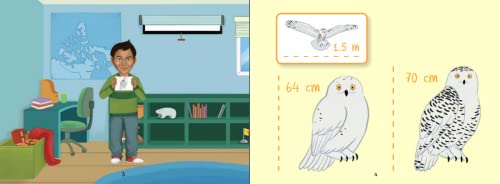 Uliaq's Amazing Animals: Snowy Owl: English Edition (Nunavummi Reading Series),Used