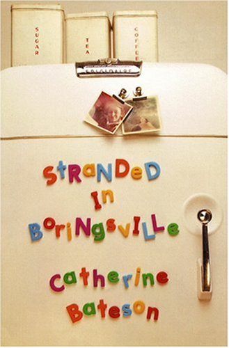 Stranded in Boringsville,Used