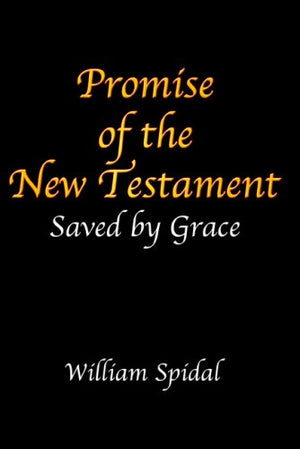 Promise Of The New Testament: Saved By Grace,New