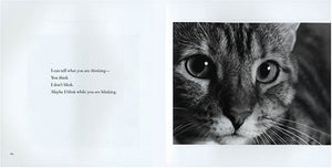 I Am the Cat, Don't Forget That: Feline Expressions,Used