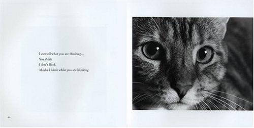 I Am the Cat, Don't Forget That: Feline Expressions,Used